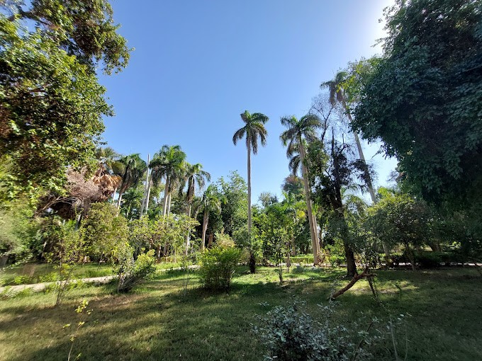 botanical garden 