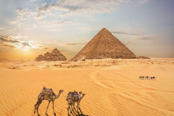Discover Egypt